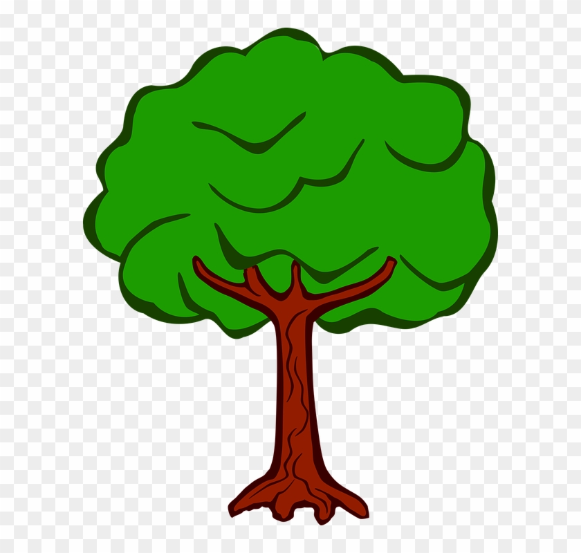 Tree Clipart Clipart Vegetation - Coloured Pictures Of Tree - Png Download #884924