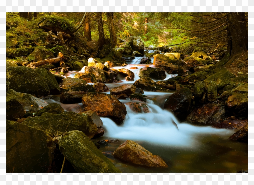 Graphic Transparent Stock Mountain Stream In Forest - Beautiful Mountain Images Download Clipart