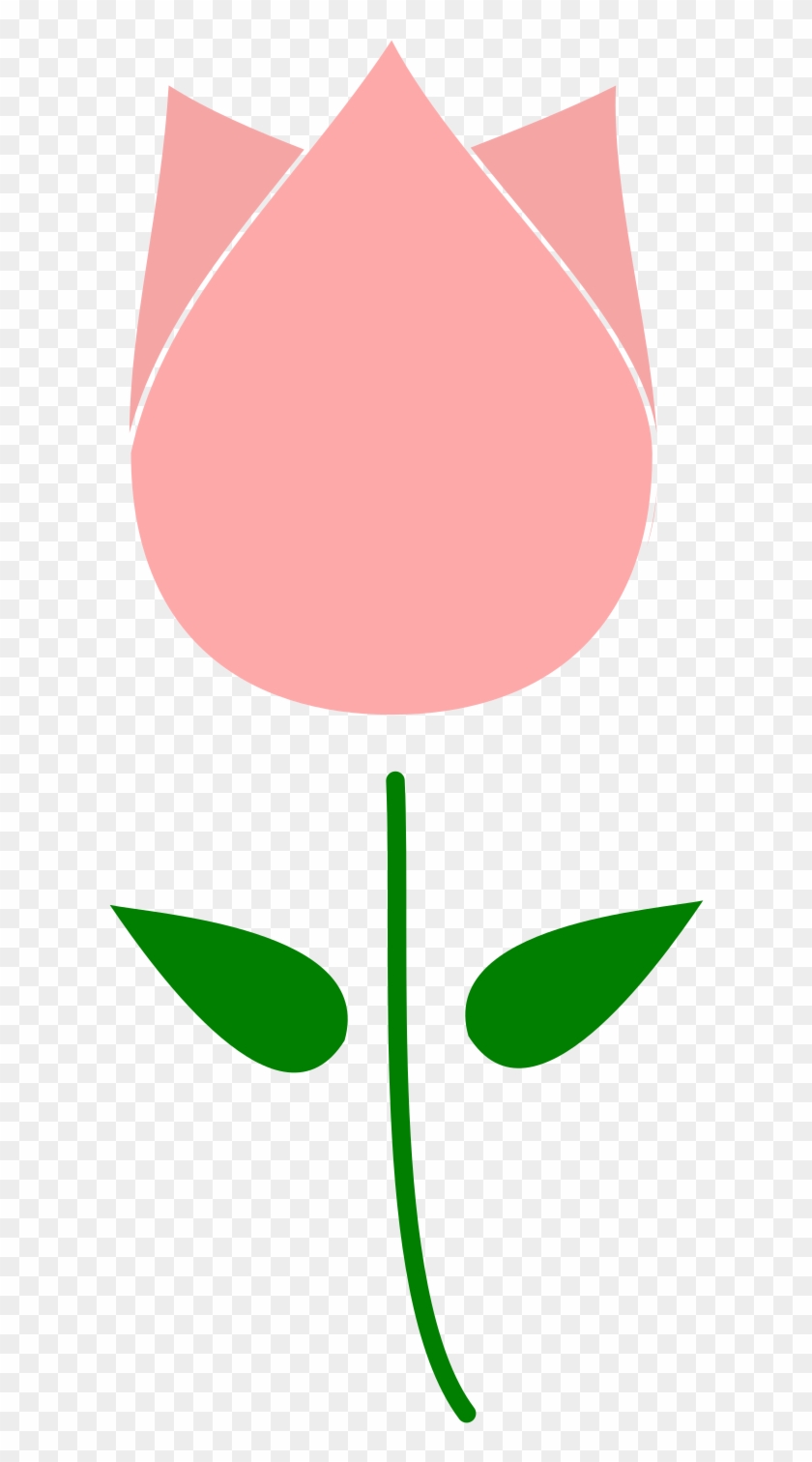 Tulip Clipart Free Clipart Tulip Flower Gigglish Clipart - Illustration - Png Download #885656