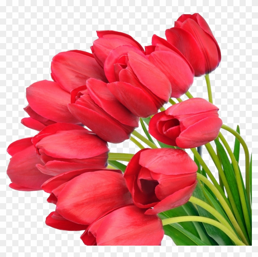Barnwell Florists - Mothers Day Flowers Background Clipart