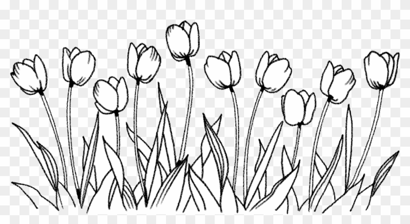 Picture Free Stock Flower Coloring Book Art Tulips - Snow Crocus Clipart #886141