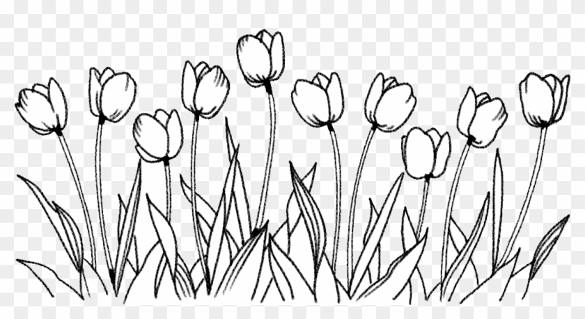Picture Free Stock Flower Coloring Book Art Tulips - Snow Crocus Clipart