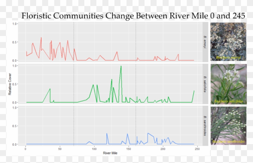 Graph Of Vegetation Communities Along The Colorado - Plot Clipart