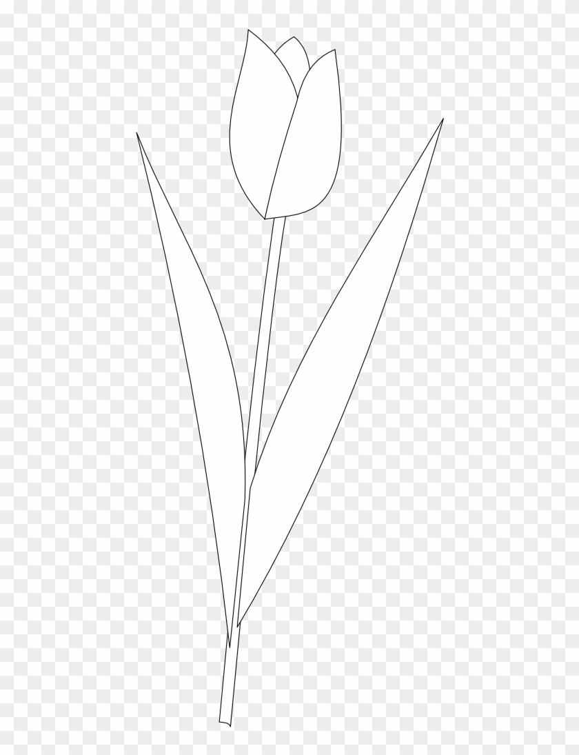 Tulip Tattoos Black And White - Black And White Clipart Tulip Flower - Png Download