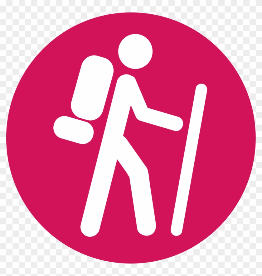 Traffic Sign Clipart #886555