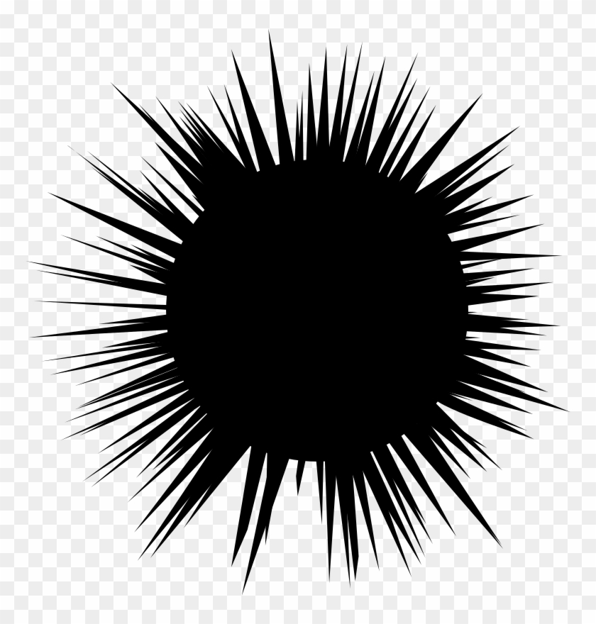 Sea Urchin Clipart Sea Plankton - Ouriço Do Mar Png Transparent Png #887243