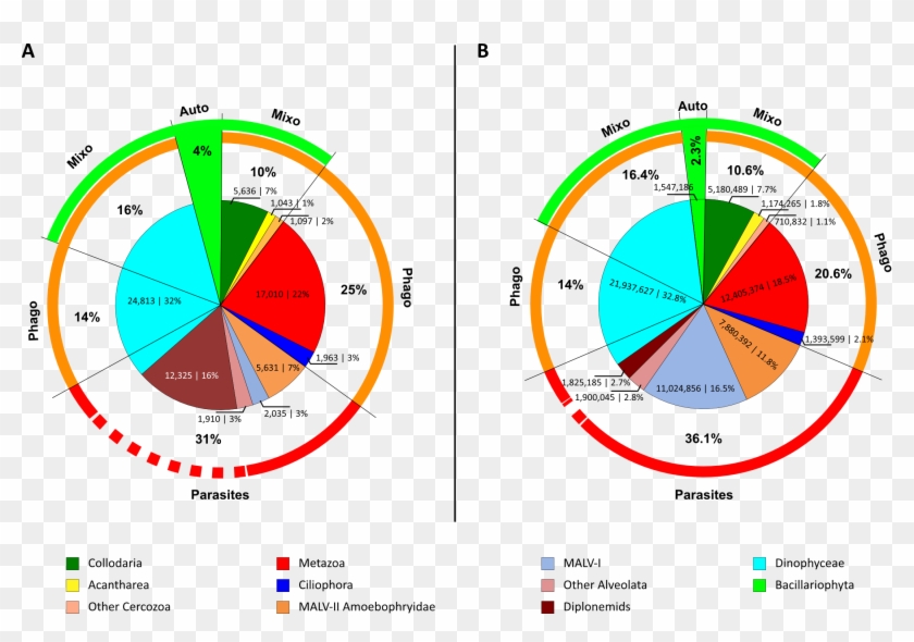Piconano Plankton Samples, Which Is The Closest Fraction - Non Linear Text Sample Clipart