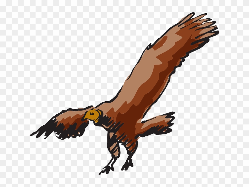 Beaky Buzzard Turkey Vulture Clip Art - Vulture Flying Clip Art - Png Download #887591