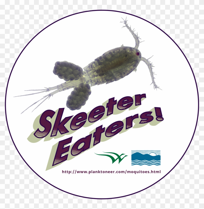 Label Clipart #887618