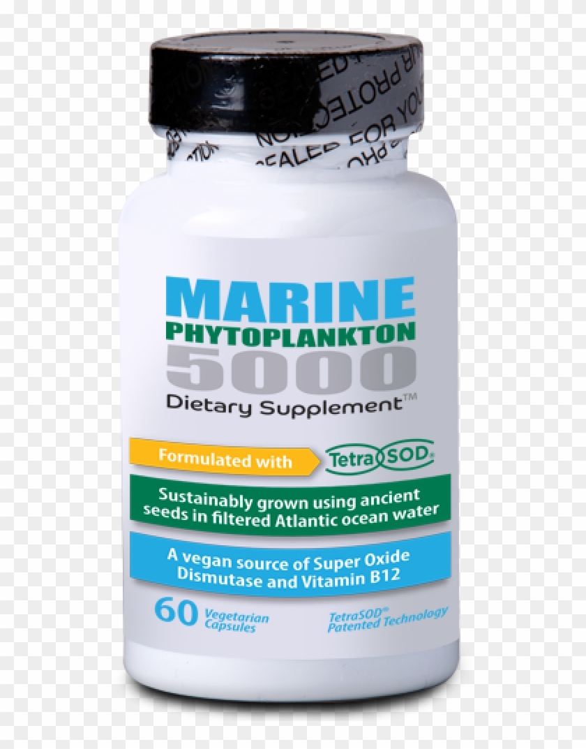 More Views - Marine Phytoplankton 5000 Clipart