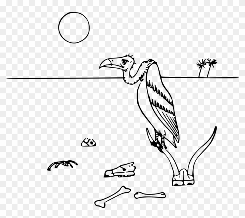 Vulture In The Desert - Desert Drawing With Animals Clipart