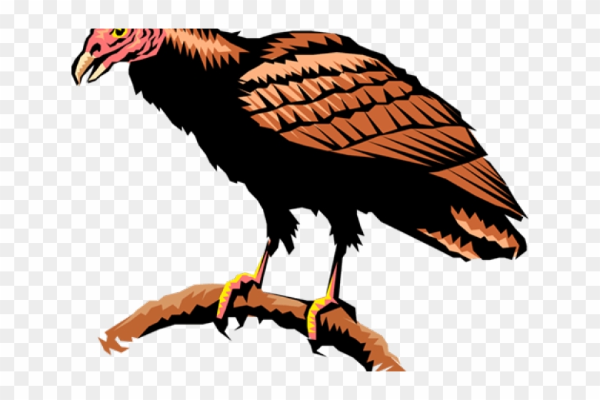 Turkey Vulture Clipart - Png Download #888177