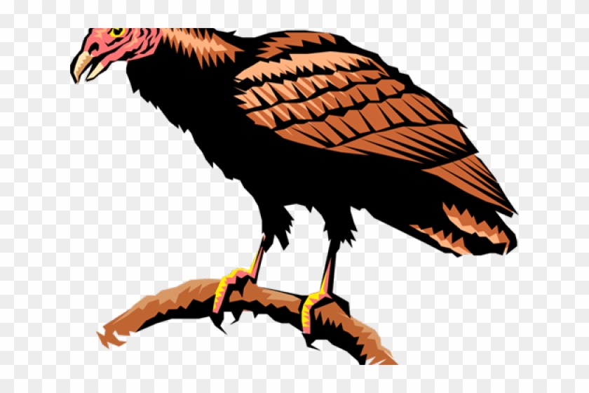 Turkey Vulture Clipart - Png Download