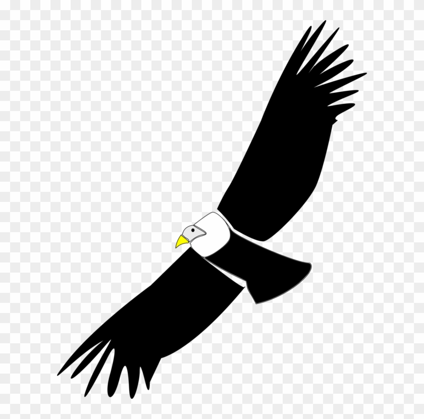 California Condor Vulture Hawk Download - Condor Svg Clipart #888262