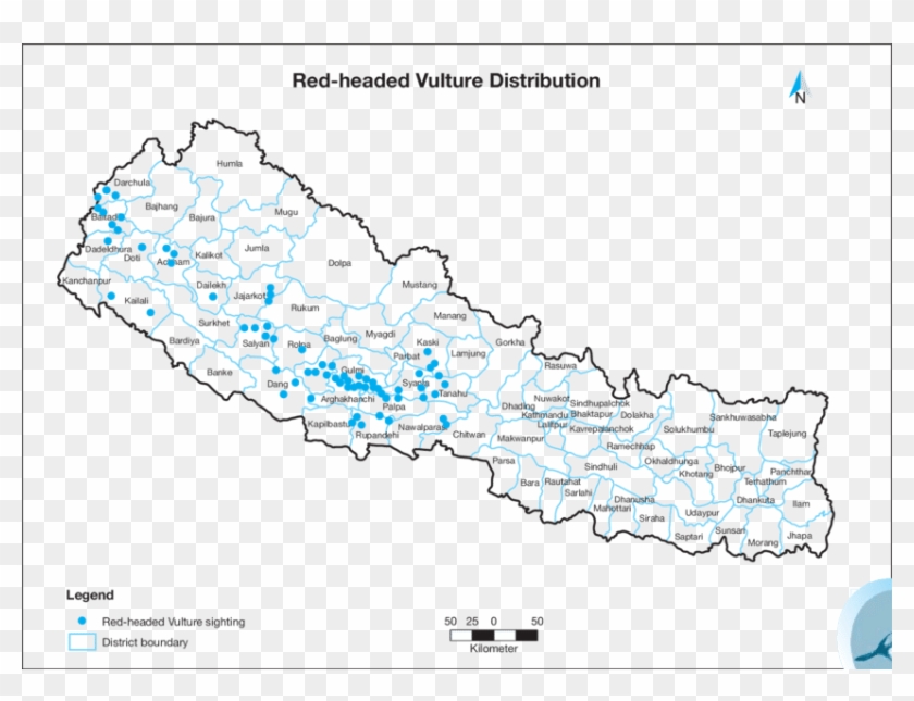 Distribution And Sightings Record Of Red-headed Vulture - Map Clipart #888479