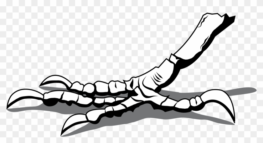 Clipart - Crows Foot - Crow Feet Drawing - Png Download