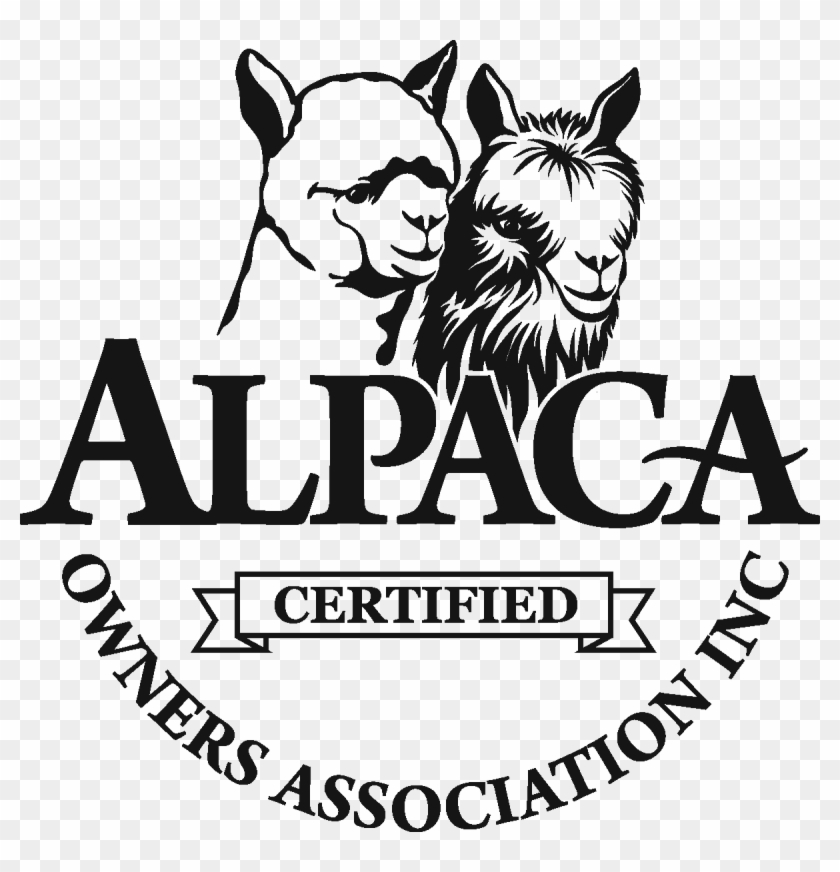 Aoa Certified Ribbon 1200 Px - Alpaca Clipart