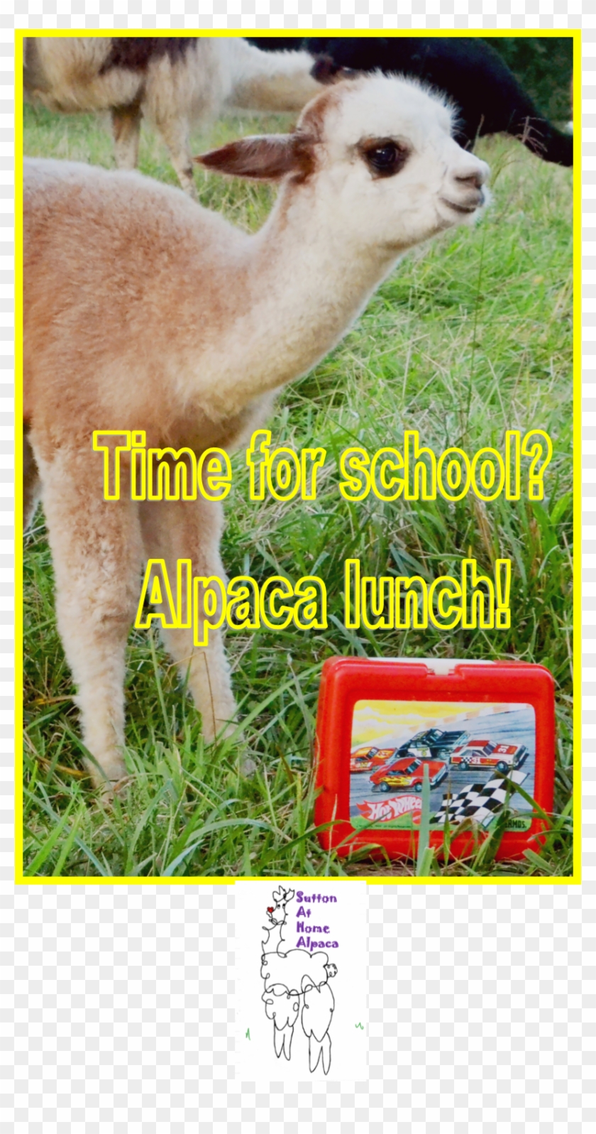 Llama Clipart #889102