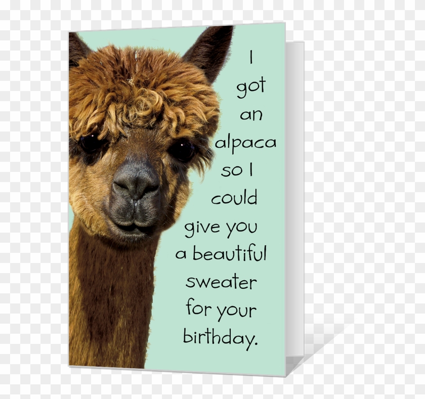 Birthday Alpaca Printable - Funny Birthday Cards Printables Clipart #889202