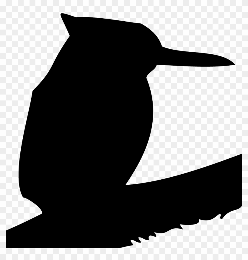 Kingfishers - Illustration Clipart