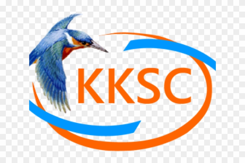 Kingfisher Clipart Transparent - Seabird - Png Download #890261