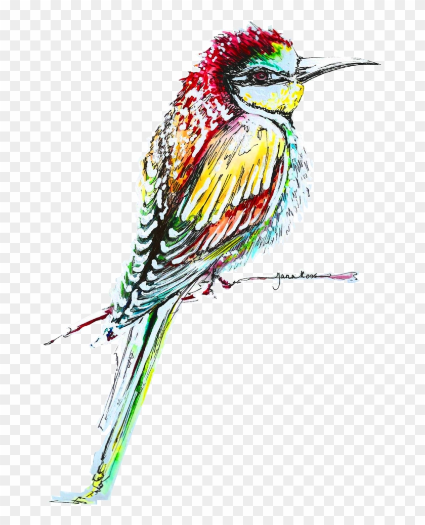 Kingfisher Bird Png High-quality Image - Bee Eater Clipart #890415