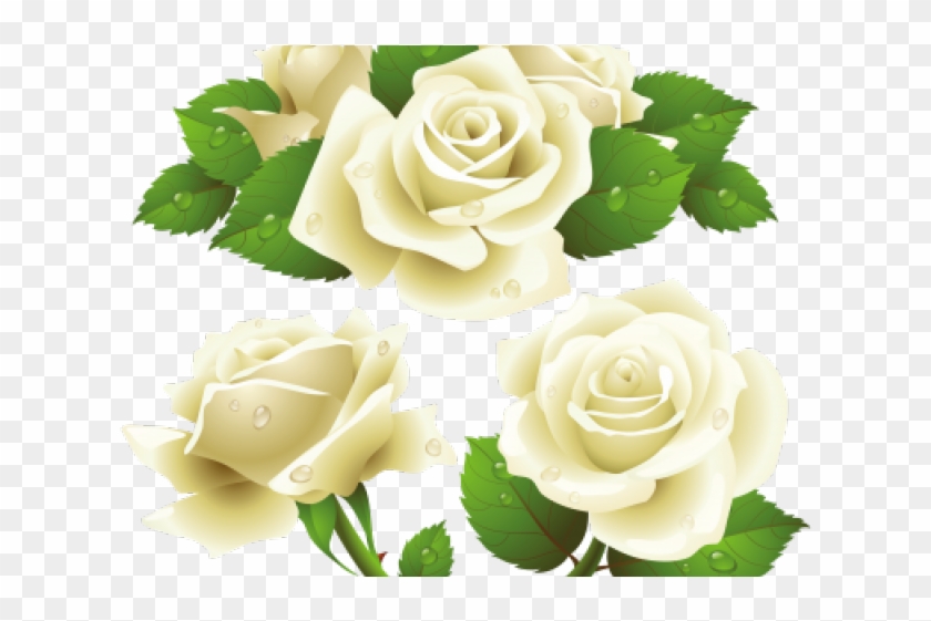 White Rose Clipart Bunch - Transparent Background White Rose Vector - Png Download #892094