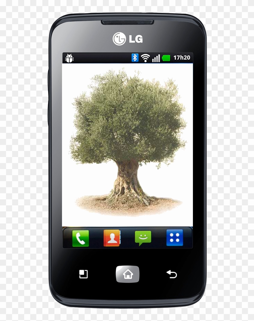 Taller En Guadalinfo Sobre Una Aplicación Móvil - Olive Clipart #893970