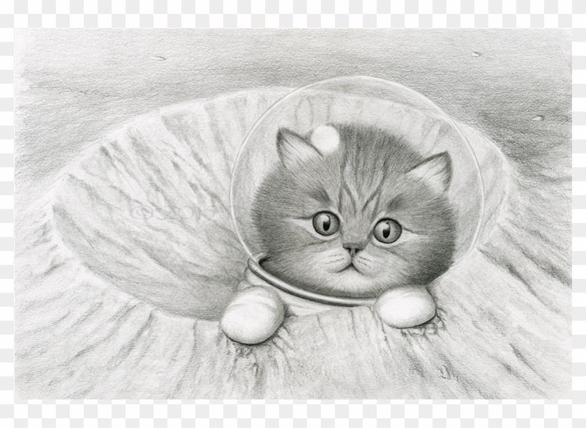 Crater Cat - Cat In Crater Clipart #894687