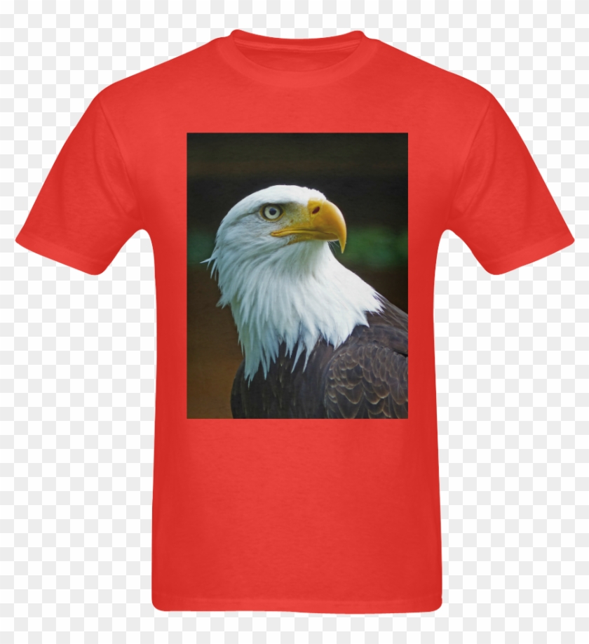 Bald Eagle Clipart #895578