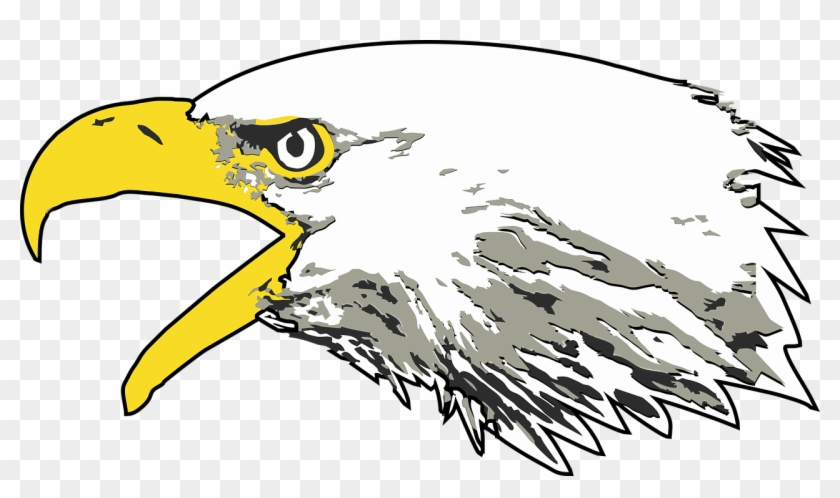 Eagle,bald Eagle,screaming Head - Screaming Eagle Transparent Background Clipart