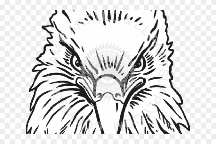 Drawn Eagle Head - Eagle Head Front View Clipart #895917