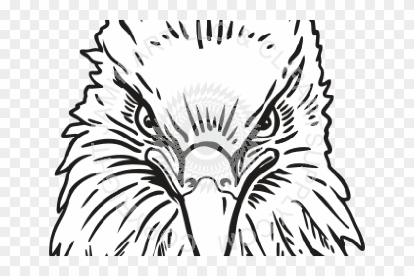 Drawn Eagle Head - Eagle Head Front View Clipart