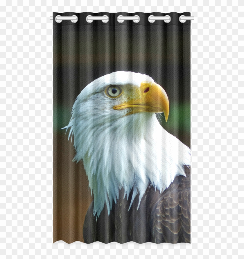 Bald Eagle Head 001 01 New Window Curtain 50" X 84" - Slytherin Window Curtains Clipart #895967