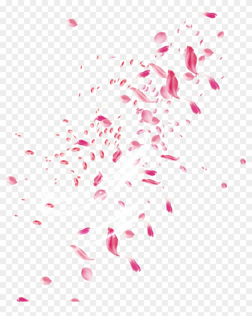 Pink Rose Petal Falling Png Clipart