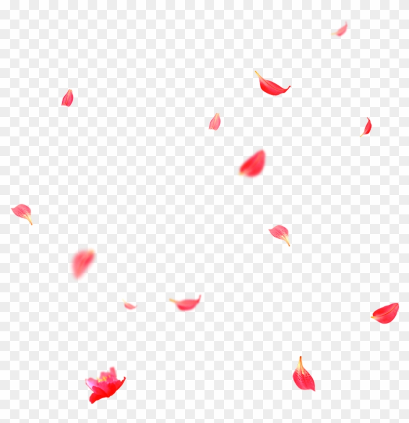 Download - Heart Clipart