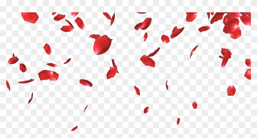 Falling Png - Falling Rose Petals Png Clipart #90292