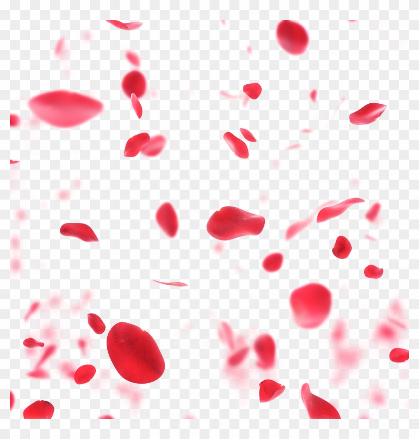 Falling Petals Png - Falling Rose Petals Png Clipart #90434