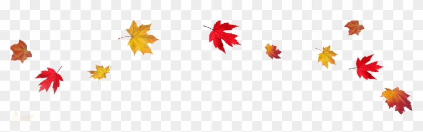 Leaf Falling Png - Transparent Fall Leaves Background Clipart #90829