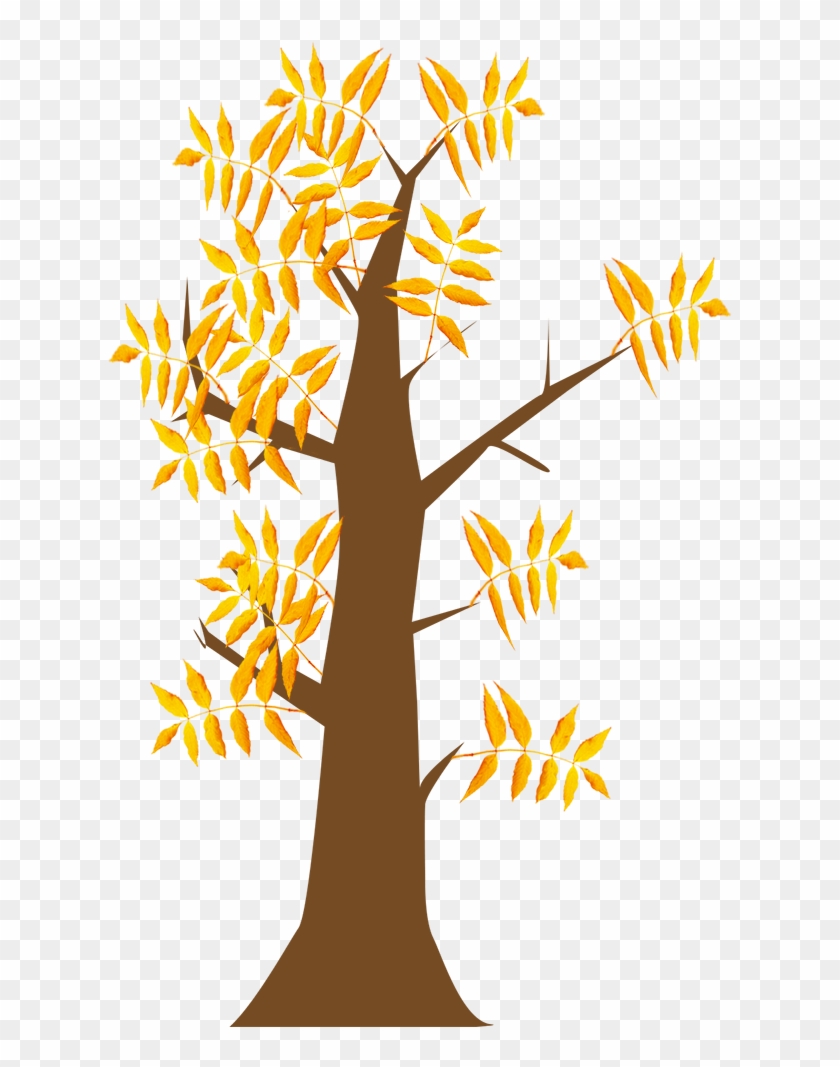 787 X 1102 5 - Tree Clipart