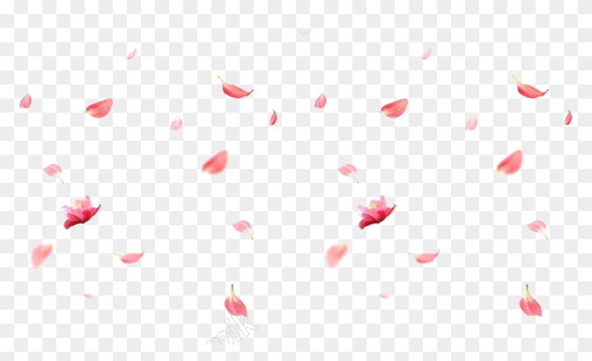 Falling Rose Petals Png Image - Imagenes De Petalos Png Clipart