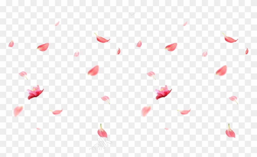 Falling Rose Petals Png Image - Imagenes De Petalos Png Clipart #91569