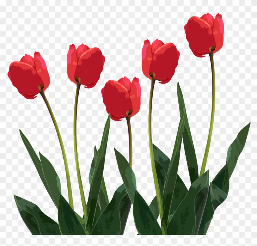 Mothers Day Clip Art - Tulip Png Transparent Png #91570