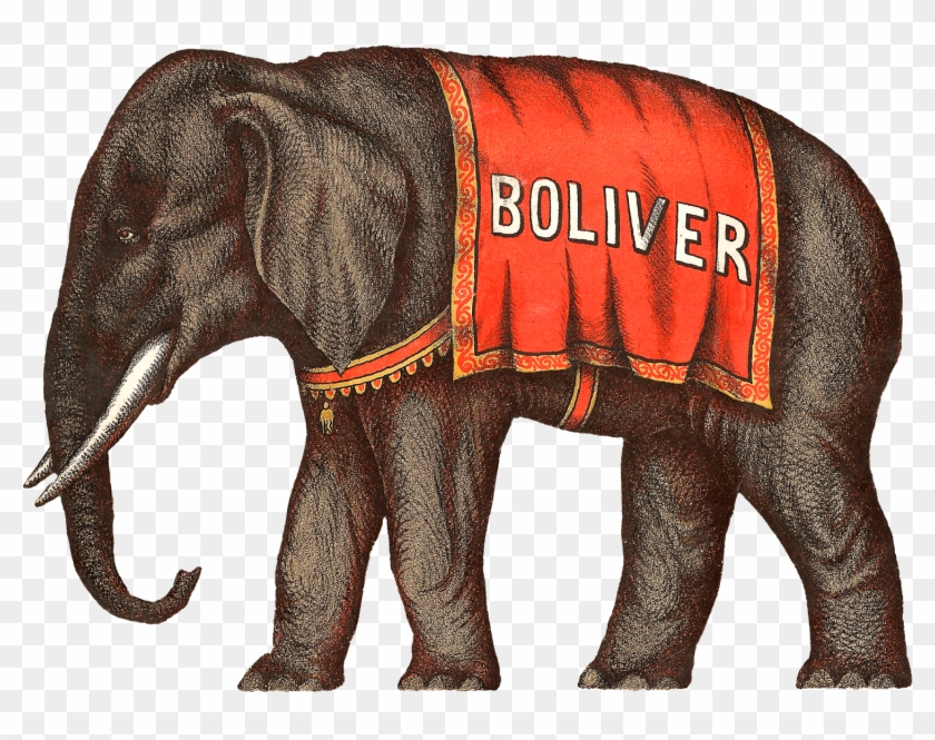 Circus Elephant Png Clipart #92209