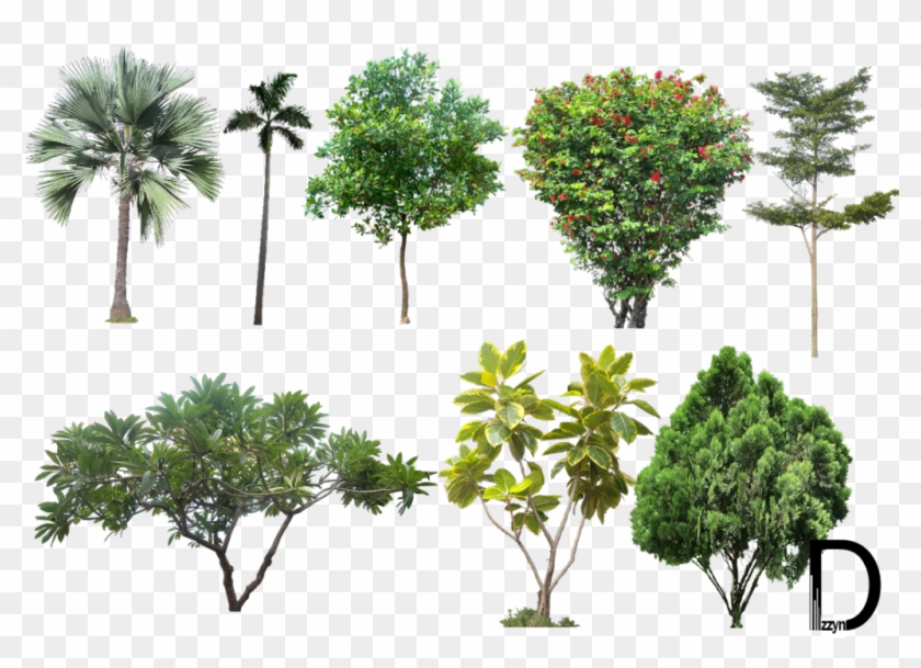 Landscape Png Photos - Trees For Photoshop High Resolution Clipart #93349