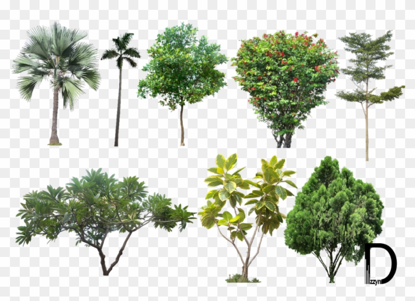 Landscape Png Photos - Trees For Photoshop High Resolution Clipart