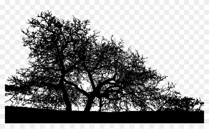 Trees Landscape Silhouette Png Free Download - Landscape Tree Silhouette Png Clipart #93571