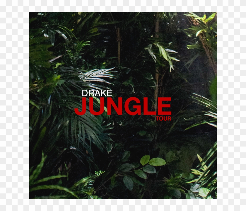 Drake Announces Tour With Future, If You're Reading - Jungle Tour Drake Clipart #94006