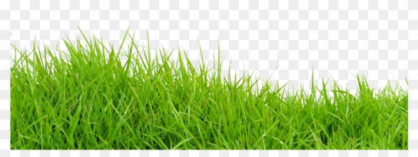 Landscape Maintenance - Portable Network Graphics Clipart #94313