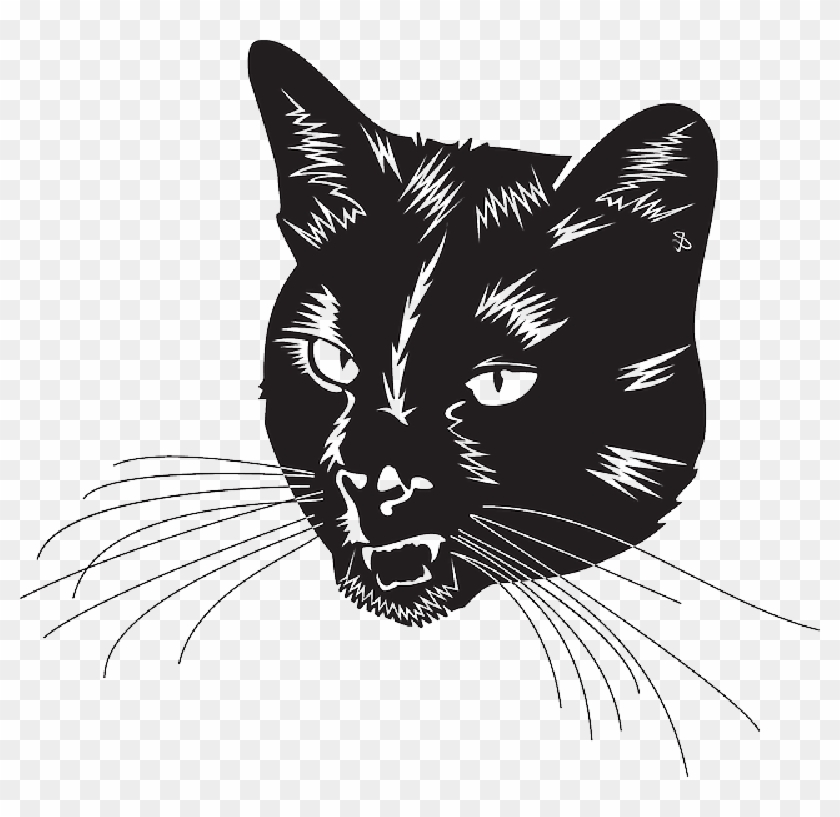 Black Cat Head With Whiskers - Black Cat Vector Art, HD Png Download